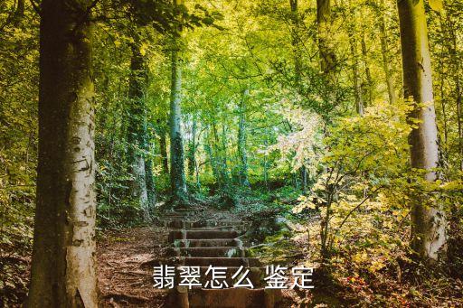 翡翠玉石品相鑒定方法,翡翠是玉石嗎?翡翠與玉石的區別...